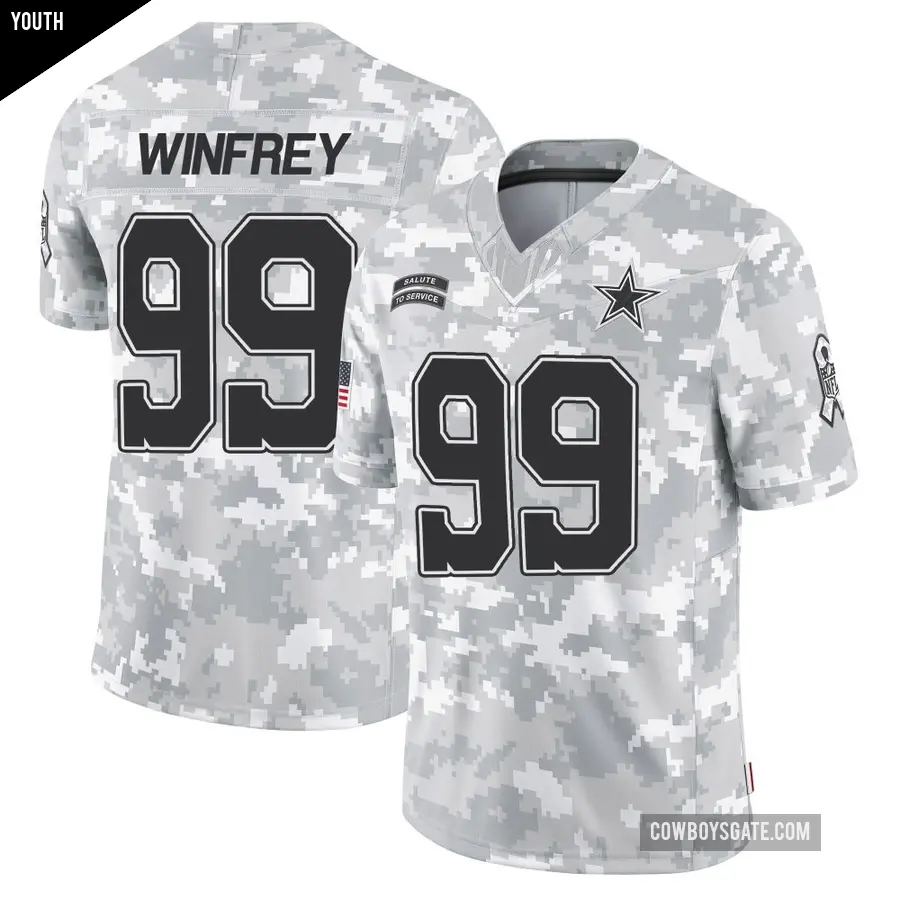 Youth Dallas Cowboys ＃99 Perrion Winfrey Arctic Camo Limited 2024 Salute to Service Jersey